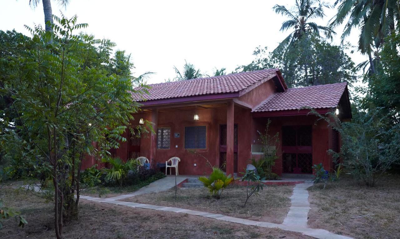 Mangrove View Bed and Breakfast Watamu Buitenkant foto