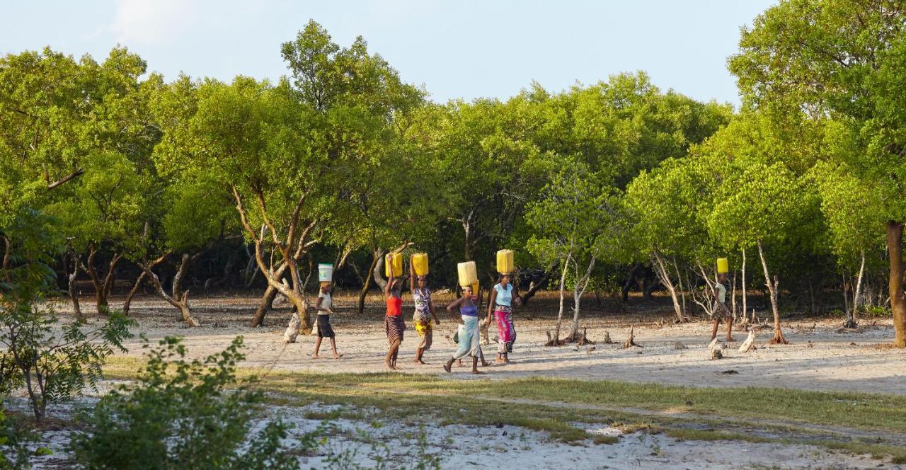 Mangrove View Bed and Breakfast Watamu Buitenkant foto