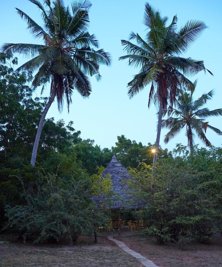 Mangrove View Bed and Breakfast Watamu Buitenkant foto