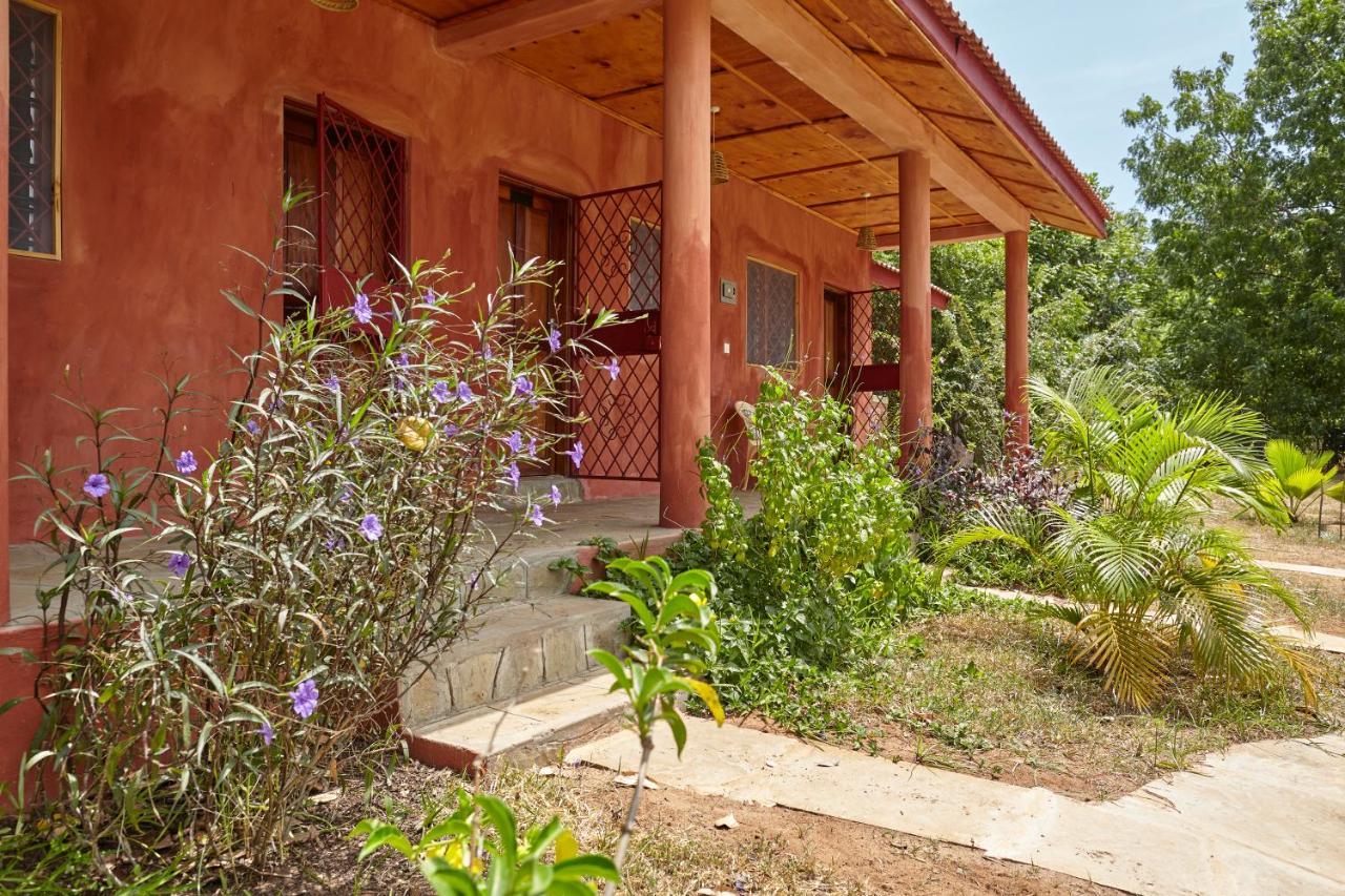 Mangrove View Bed and Breakfast Watamu Buitenkant foto