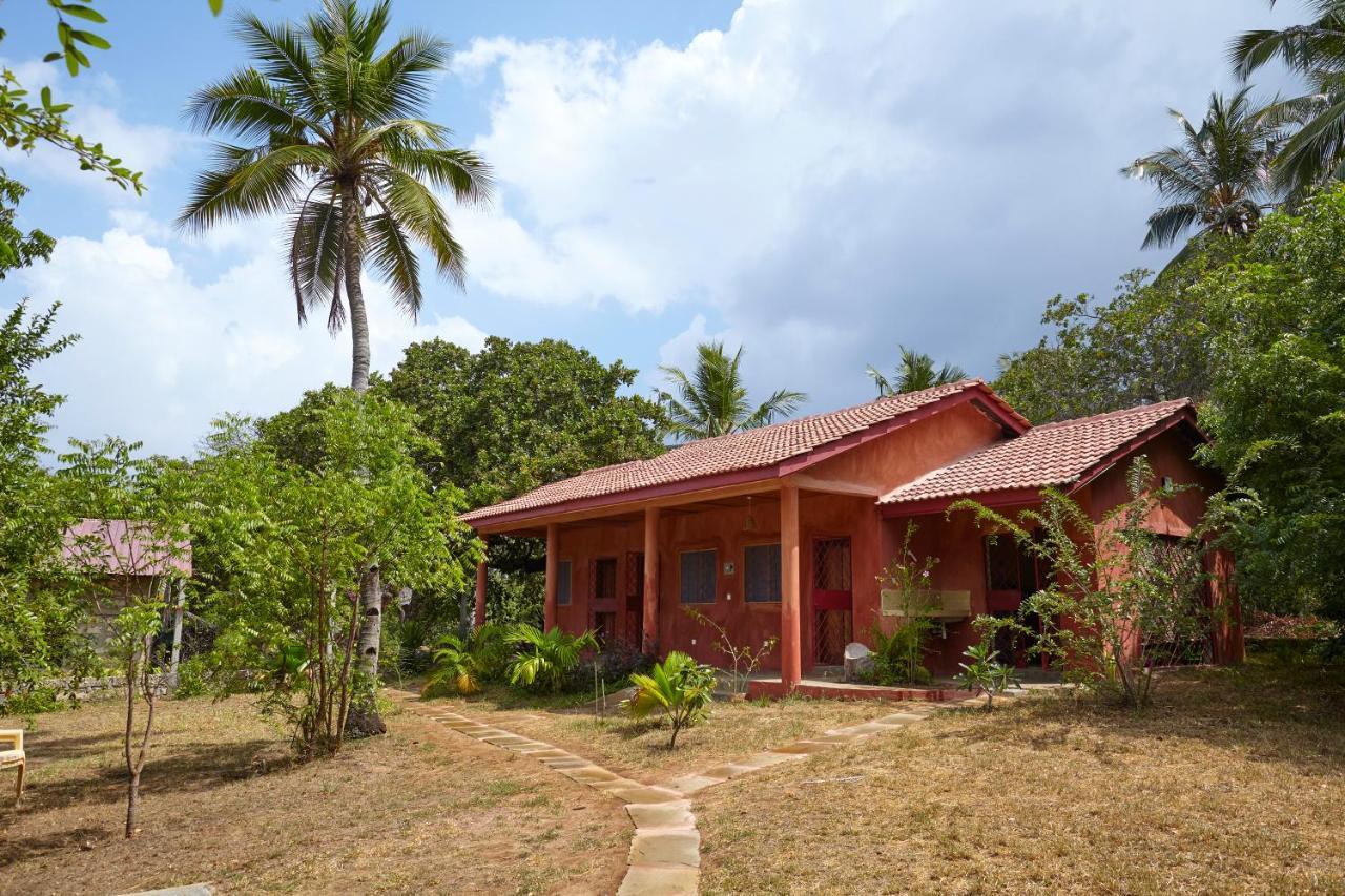 Mangrove View Bed and Breakfast Watamu Buitenkant foto